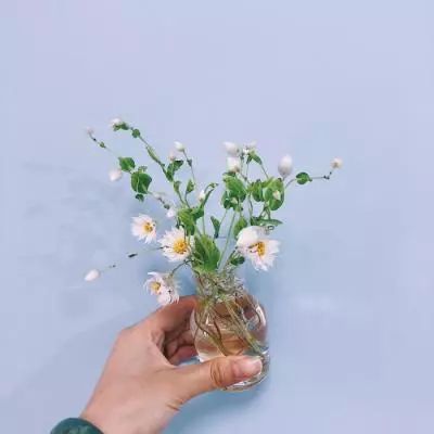 台湾福星彩下载手机版