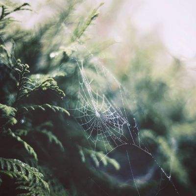 购彩中心welcome官网下载手机版